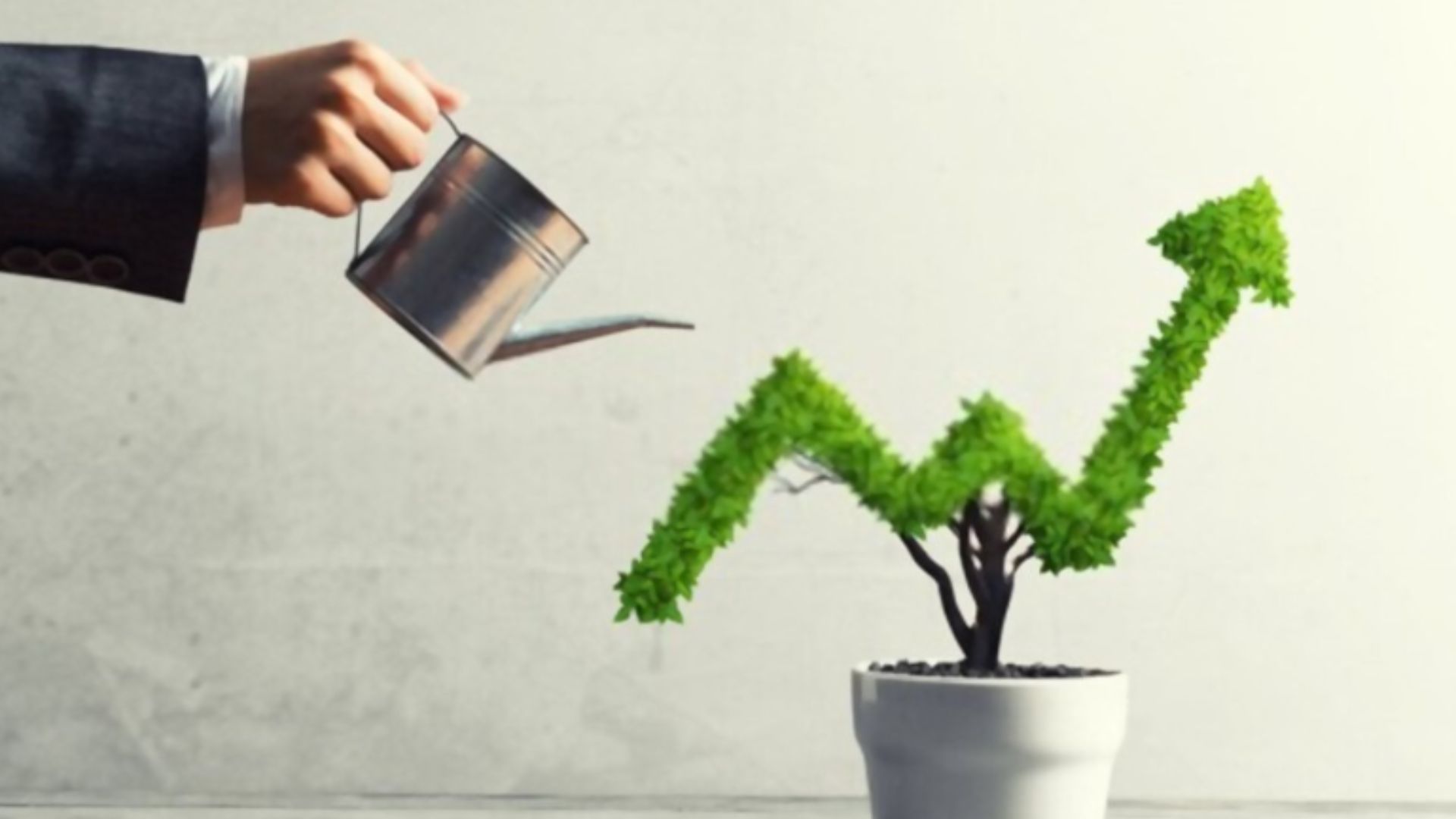 Strategies for Growing Your Business Revenue